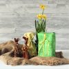 Geschenkverpackung ohne Müll Frühlingswiese | Starterset